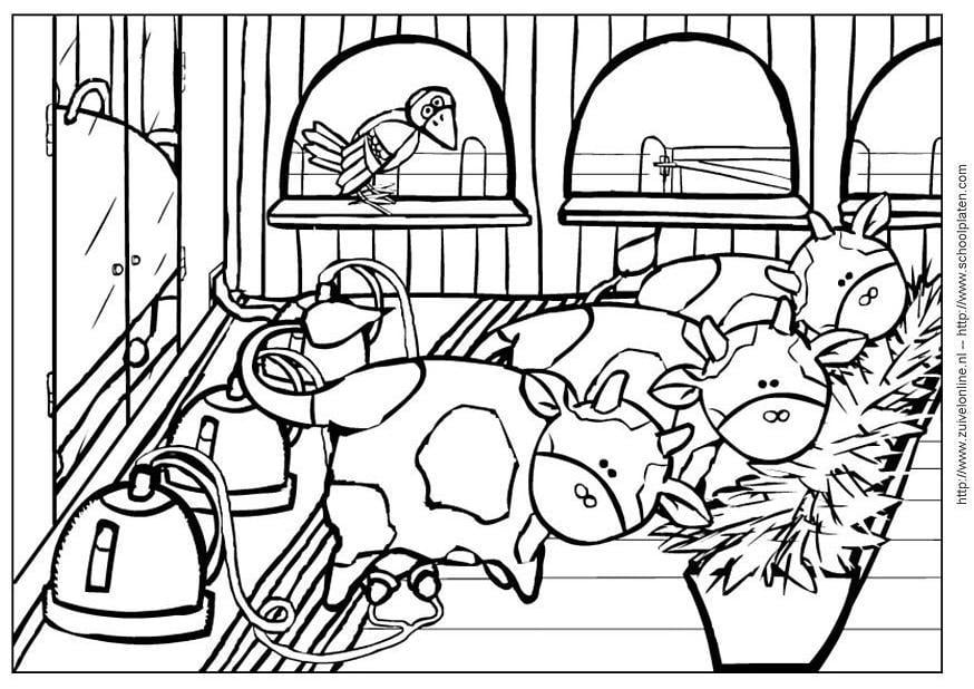 Coloriage vache