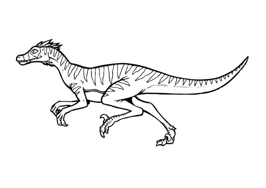 Coloriage velociraptor