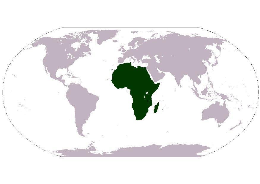 Image afrique