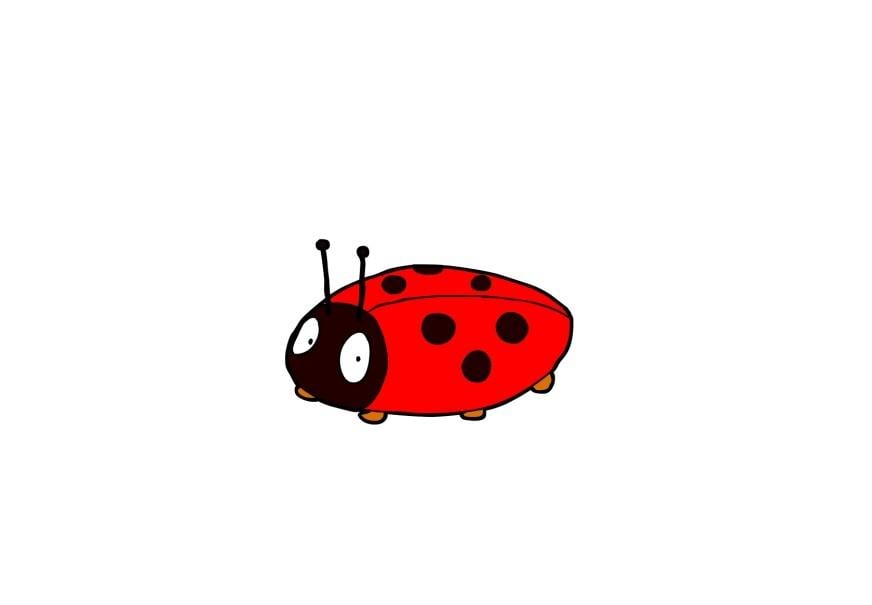 Image coccinelle