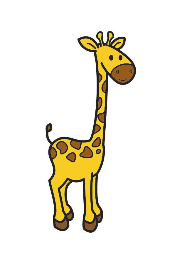 Image girafe