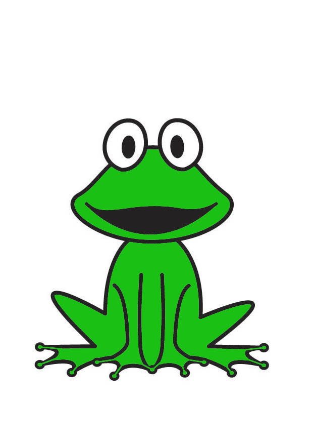 Image grenouille