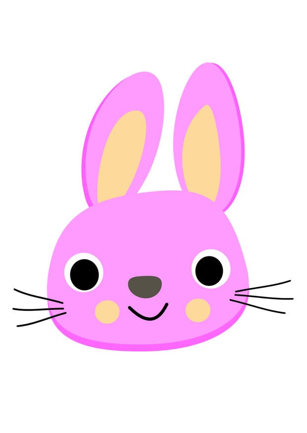 Image lapin