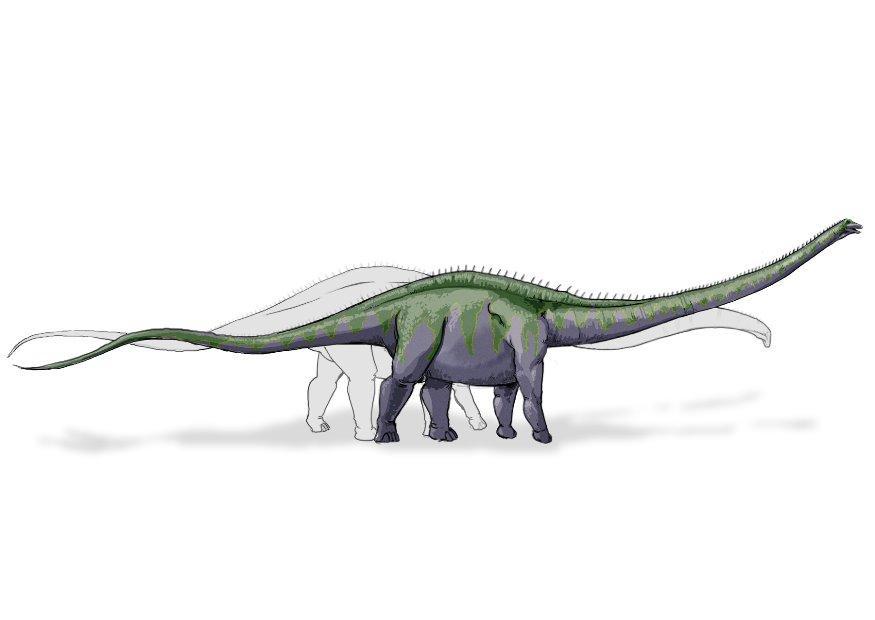 Image supersaurus