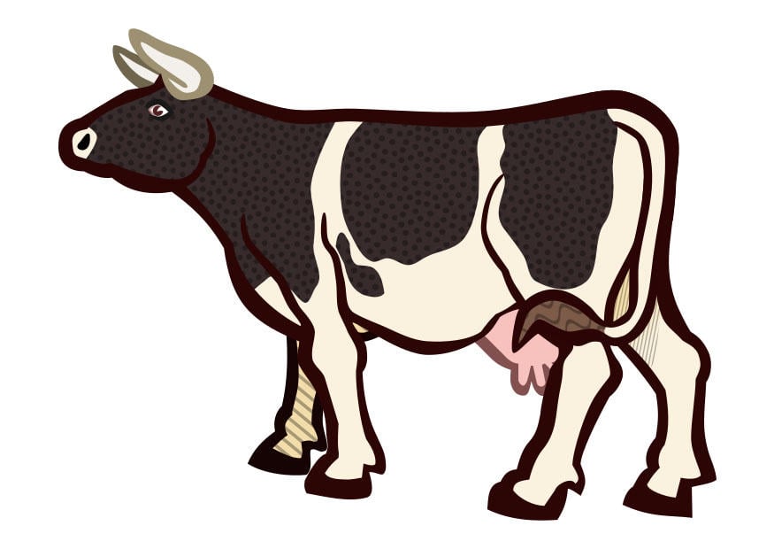 Image vache