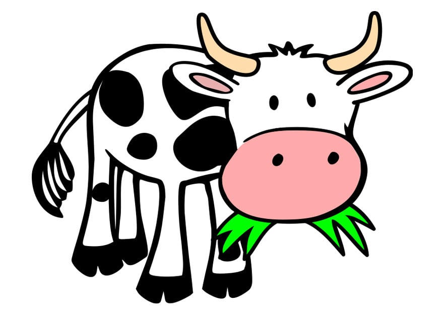 Image vache