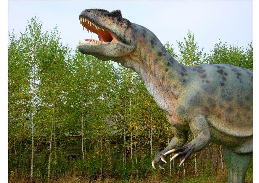 Photo allosaurus