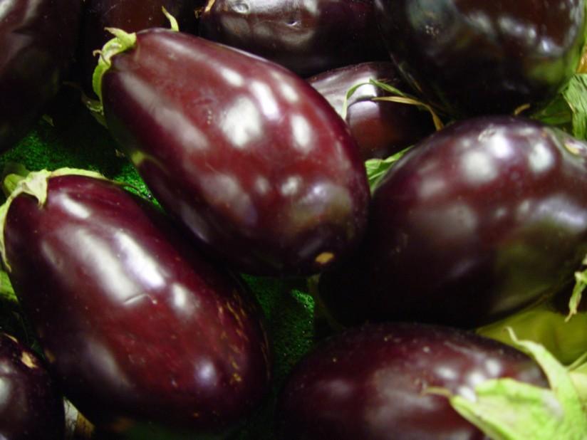 Photo aubergine