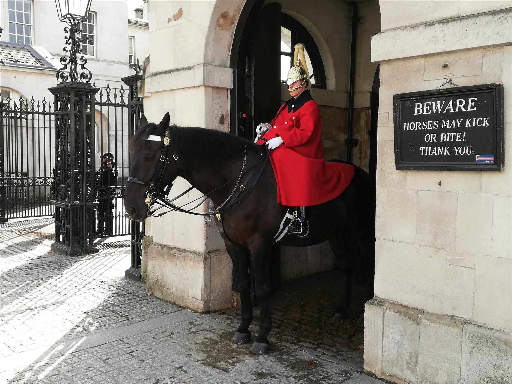 Photo cavalerie domestique londres