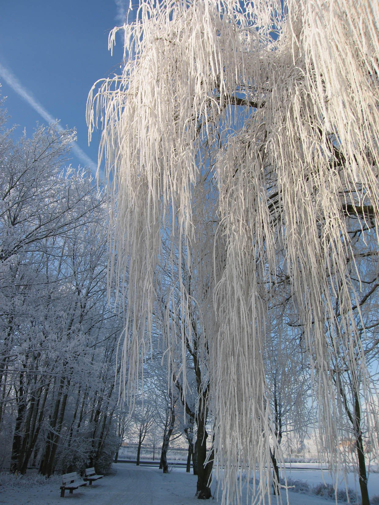 Photo hiver