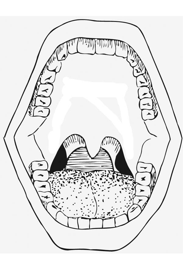 Photo la bouche