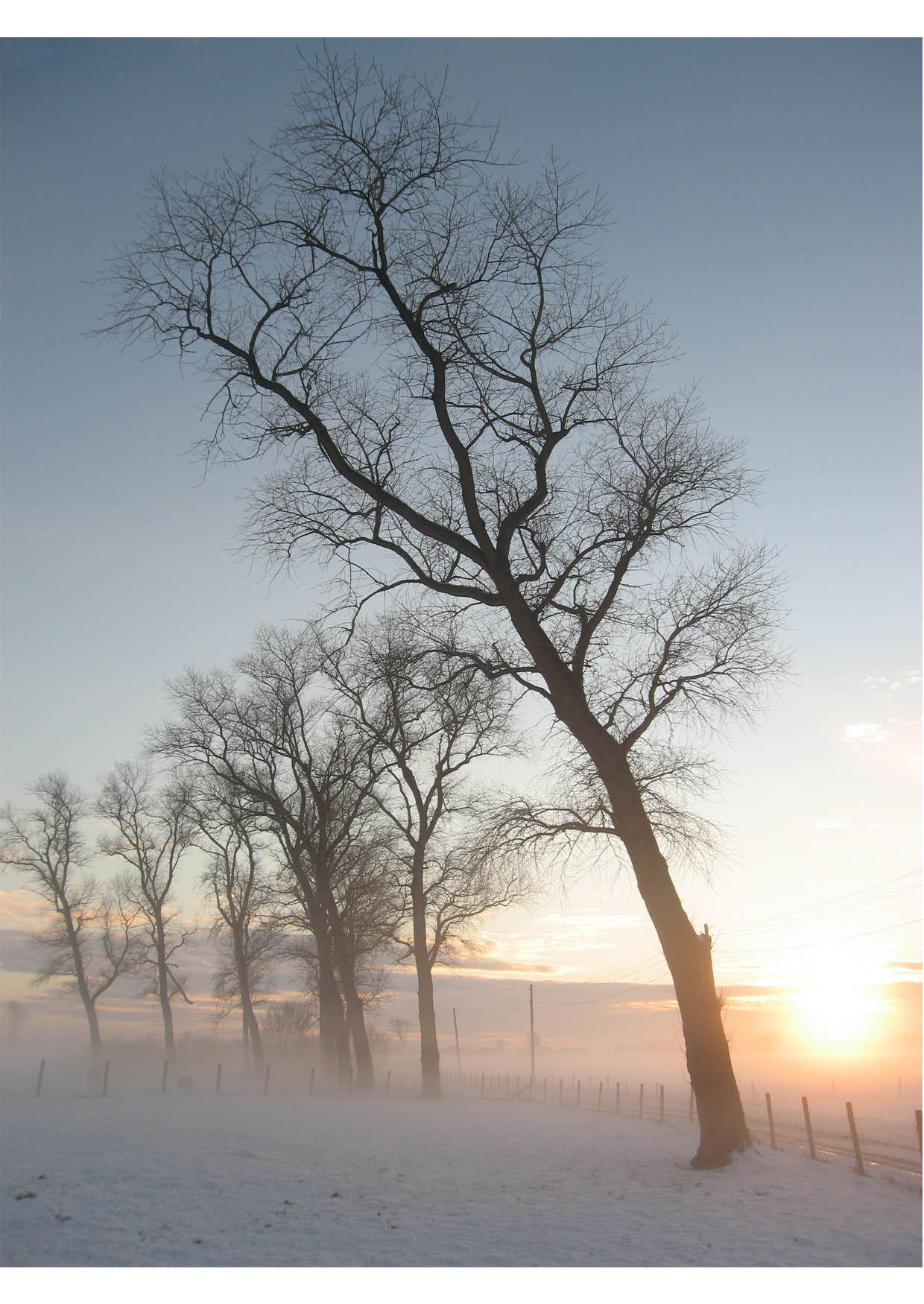 Photo paysage enneigA©