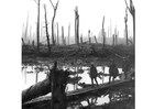 champ de bataille 1ère guerre mondiale